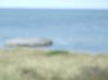 Sofia på Skagen 063